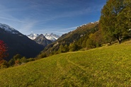 Seehorn (foto STUDIO RDS)