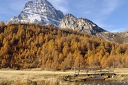 Alpe Veglia, i colori dell'autunno (foto STUDIO RDS)