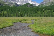 Scorcio della piana